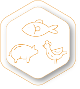 icon-animal-health
