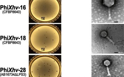 Greenphage co-signs a phage biocontrol publication